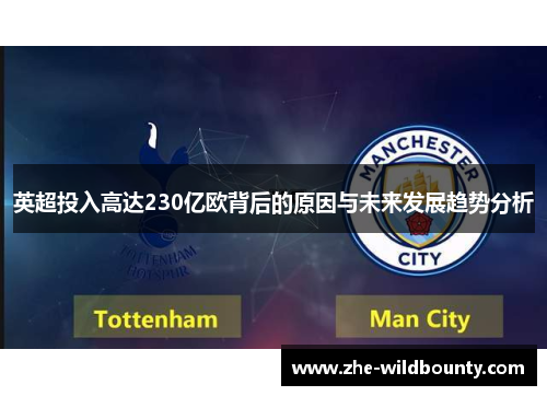 英超投入高达230亿欧背后的原因与未来发展趋势分析